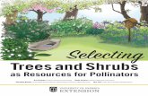 Selecting - Royce's Tree Service | Welcome · flies, butterflies, moths, beetles, wasps, and even hummingbirds also serve as pollinators. We can support pollinator populations by