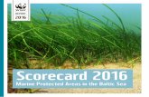 REPORT 2016d2ouvy59p0dg6k.cloudfront.net/...2016_nov.pdf · WWF Scorecard 2016 Marine Protected Areas in the Baltic Sea3 BOX 1: WWF PRINCIPLES FOR A SUSTAINABLE BLUE ECONOMY In summary