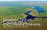 PAISAGENS OCULTAS DO PANTANAL · 2019-12-02 · 56 z DEZEMBRO DE 2019 1 e planas do Pantanal, eles observaram que esse corpo d’água se espraiava à medida que avan-çava sobre