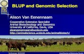 BLUP and Genomic Selection• Would like records before selection • Need to know genetic relationship between selection criteria being measured (e.g. an ultrasound scan) and the