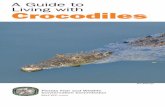 Living with crocodiles - Florida Fish and Wildlife ...A Guide to Living with Crocodiles Bill Billings The American crocodile, bottom left, has a narrow, tapered snout. The alligator,