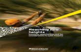 Reaching new heights - EY´s Tax Insights | Home€¦ · 8 Reaching new heights Insurance opportunities and tax considerations in Latin America Brazil is the largest market, having
