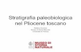 Stratigrafia paleobiologica nel Pliocene toscano · 2017-12-02 · 4.La biodiversità raggiunge il massimo nel sintema 4, deposto durante l’optimum climatico del Piacenziano medio
