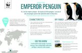 EMPEROR PENGUIN - · PDF file Hi, I am the emperor penguin - the largest of all the penguins. I am one of only two penguin species that spend the winter in Antarctica. Read on to discover