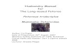 Husbandry Manual for The Long-nosed Potoroo Potorous ... Manuals/Published Manuals... · The long-nosed Potoroo as noted by the author at Potoroo Palace Native Animal Sanctuary could