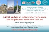 A 2012 update on inflammatory cytokines and adipokines ... · A 2012 update on inflammatory cytokines and adipokines: Revelance for CKD EURECA-m CME COURSE Cardiovascular Problems