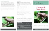 Peacock Tree Frog - che · PDF file Tree Frog If you require any further information, please ask our pet care advisors who will be very happy to help. Peacock Tree Frog The peacock