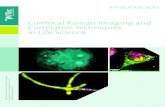 Confocal Raman Imaging and Correlative Techniques in Life ... Confocal Raman microscopy can be coupled
