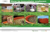 How to inoculate soybean - ASHCafricasoilhealth.cabi.org/wpcms/wp-content/uploads/2015/... · 2015-04-08 · seeds are uniformly covered with the inoculant. Protect the inoculated