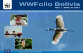 WWFolio Boliviad2ouvy59p0dg6k.cloudfront.net/downloads/wwfolio_nr_2.pdf · into two main programs: Forests & Amazon and Pantanal. Within this framework, in November 2004 and January