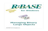 Managing Binary Large Objects - razzak.com · Managing Binary Large Objects by R:BASE Technologies, Inc. Welcome to Managing Binary Large Objects! One of the more exciting features