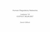 Human Regulatory Networks Lecture 14 6.874J/7.90J/6 · Human Regulatory Pathways Human Biology • The organism and its components • Motivation: improved understanding of health