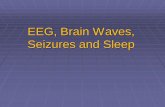 EEG, Brain Waves, Seizures and Sleep · PDF file 3/3/2014  · REM Sleep Presence of beta activity (desynchronized EEG pattern) Physiological arousal threshold increases Heart-rate