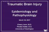 Traumatic Brain Injury Epidemiology and University of ... · Nathan Zasler, Douglas Katz, & Ross D Zafonte. Demos Medical Publishing, 2007: 137-147. Pathophysiology • Primary injury
