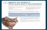 WHAT TO EXPECT after your pet’s vaccination · 2-5 days after your pet receives an intranasal vaccine More serious, but less common side effects, such as allergic reactions, may