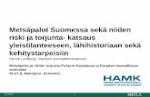 Metsäpalot Suomessa sekä niiden riski ja torjunta- katsaus ... · Valistus Havainnointi sammutus 15.10.2013 12 . Paloainekset – niiden määrä ja jakautuminen . Suuria muutoksia