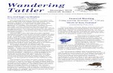 Wandering Tattler - Sea and Sage Audubon Society · 2018-10-16 · Wandering Tattler The Voice of SEA AND SAGE AUDUBON, an Orange County Chapter of the National Audubon Society November