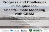 in Coupled Ice- Sheet/Climate Modeling with CESMBamber et al., 2013 Viz: NASA . Atmosphere . Ocean . Land Sea ice . CISM . ice sheet . Coupler • CISM determines solid ice flux •