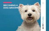 BECOMING A DOG GROOMER · your grooming skills and learn through hands-on work. The groomer you’re assisting might even recommend you to others when you become a full-fledged groomer