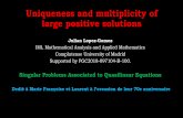Uniqueness and multiplicity of large positive solutions · 2020-06-03 · Uniqueness and multiplicity of large positive solutions Julian Lopez-Gomez IMI, Mathematical Analysis and