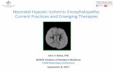 Neonatal Hypoxic Ischemic Encephalopathy: Current ...€¦ · •Emerging therapies for HIE - autologous cord blood cells . Hypoxic Ischemic Encephalopathy (HIE) •HIE continues