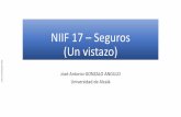 NIIF 17 Seguros (Un vistazo) - Afi Research€¦ · El modelo general en bloques para una transacción de seguro COBROS 100 PAGOS 85 EFECTO DEL DESCUENTO (25) AJUSTE POR RIESGO NO