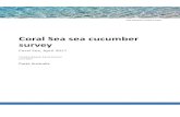 Coral Sea sea cucumber survey - Parks Australia · 2018-08-16 · Coral Sea sea cucumber survey | iii ... in sea cucumber biogeography and fishing pressure. The density of most sea
