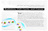 Radiation, Cell Cycle, and Cancer · Radiation, Cell Cycle, and Cancer 52 Los Alamos ScienceNumber 23 1995 *We will restrict our attention to ionizing raditation in this primer, that