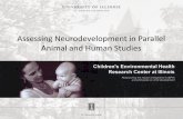Assessing neurodevelopment in parallel animal and human ... · • Focusing on basic building blocks of cognition (information processing, attention and memory) that are relatively