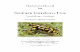 Southern Corroboree Frog · named the second Pseudophryne pengilleyi Northern Corroboree Frog after Dr R Pengilley, who in the 60’s undertook a great deal of research on the species.