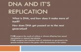 DNA AND IT’S REPLICATION - flippedoutscience.com...DNA Structure DNA consists of two molecules that are arranged into a ladder-like structure called a Double Helix. A molecule of
