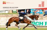 HORSES IN ACTION - Amazon S3 · Horses are judged on conformation, presentation, manners and paces within their field. Show horses should have a fine bone conformation, show hunters