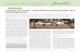 Focali Brief: 2013:01 Forests and trees - essential for ... Brief_Forests and... · forests resources, biodiversity and other eco-system services can be analysed holistically. Continued