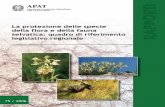 'La protezione delle specie della flora e della fauna selvatica: … · 2012-07-05 · PRESENTAZIONE La protezione della natura e della biodiversità è un compito molto vasto e impegnativo.