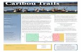Caribou Trails 2019 - News from the Western Arctic Caribou ... · Western Arctic Caribou Herd Working Group Meeting held in Anchorage last December. After considering all of the available