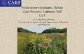 Pollinator Habitats - What Can Science Tell Us...Bee Diversity in Connecticut •Bee species recorded in CT –349 species •9 species are exotic, rest are native to US •1 species