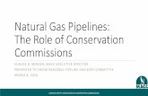 Natural Gas Pipelines: The Role of Conservation Commissions · FERC is in Charge An interstate gas pipeline may not construct facilities, initiate a service, abandon facilities, or