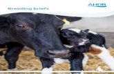 Breeding briefs - Microsoft · 2020-02-28 · A series of poor breeding decisions can mean the difference between profit and loss; even between a business’s survival and failure.
