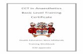 CCT in Anaesthetics Basic Level Training Certificatewsoa.org.uk/.../7015/2913/Core_training_Workbook_ICM_appendix_M… · Basic Anaesthetic Training Competencies – 3/6 months to