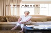 Prima Alpaca - SandraJordan · 2016-05-12 · Alpaca—strength, luxury and versatility—with an in-triguing elegance and sexiness. The way light catches this timeless weave is almost