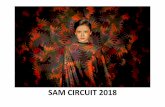 SAM CIRCUIT 2018 · 2020-06-02 · 3 ===== ==== SAM CIRCUIT-2018 ===== CENTRAL COMMITTEE SALON CHAIRMAN WPAI NEW DELHI VINOD KUMAR BHARTI, Photo Photojournalist, Hon. PESGSPC, Hon.