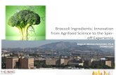Broccoli Ingredients: Innovation from Agrifood …fins.uns.ac.rs/foodtech/2014/Prezentacije/PDF_FOOD/Moreno...Health benefits of Consuming Broccoli 2. Broccoli Agri-Food Chain –
