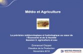 Météo et Agriculture - Météo et Climat - Echanges et ... · PDF file Météo-France - bases de données météorologiques - Innovation - prévisions et scénarios de changement