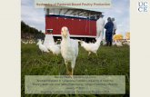 Husbandry of Pastured- Based Poultry Production · • Lighting schedule • Body weight and uniformity by week after 3 weeks • Mortality by days and weeks • Record of problems