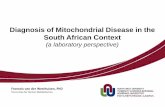 Diagnosis of Mitochondrial Disease in the South African ...rarex.co.za/2016/wp-content/uploads/2016/10/RareX... · •mtDNA copy nr (muscle) •mtDNA sequencing •nDNA, CI – CIV,