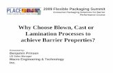 Why Choose Blown, Cast or Lamination Processes to achieve ... · • Extrusion Lamination offers the greatest flexibility in potential film structures. Dissimilar materials can be