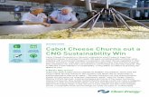 SUCCESS STORY Cabot Cheese Churns out a INVESTMENT …...Cabot Cheese Cooperative in Vermont understands what it takes to keep their customers happy. In business for nearly 100 years,