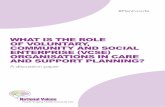 WHAT IS THE ROLE OF VOLUNTARY ... - Person centred care · organisations who aim to develop care and support planning within their own organisations, and make a contribution to the