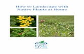 How to Landscape with Native Plants at HomeInvasive Plants Alien plants also known as exotic, non-native, or non-indigenous plants, are species intentionally or accidentally introduced