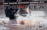 The Youth Criminal Justice Act THE PLEA · The Youth Criminal Justice Act Sometimes, young people find ... is enough to deal with the situation. Occasion-ally more formal actions
